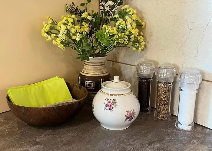 Vahtra Allee Külalismaja *